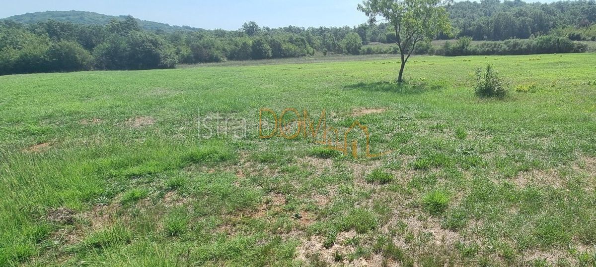 Terreno Rovinjsko Selo, Rovinj, 8.050m2