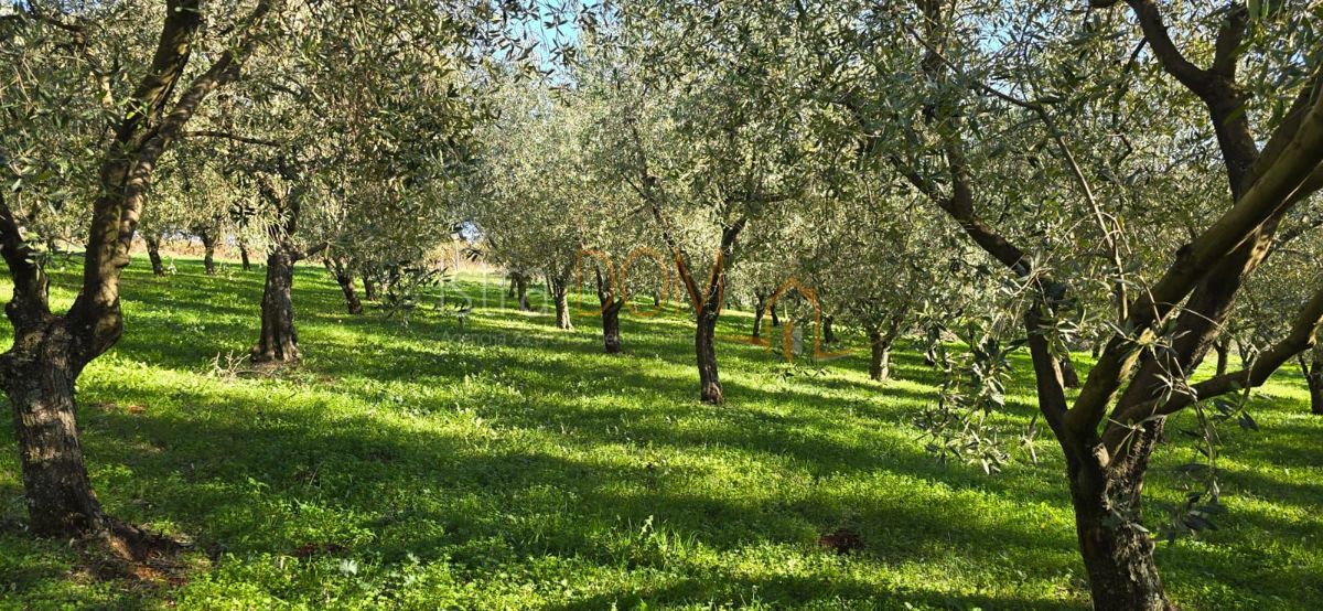 Terreno Pićan, 22,44m2