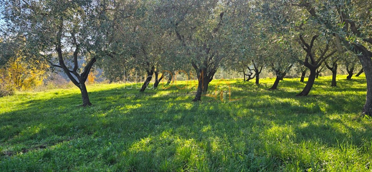 Terreno Pićan, 22,44m2