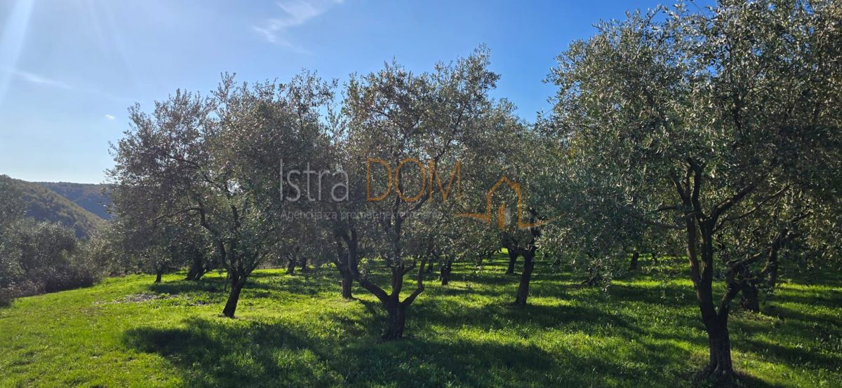 Terreno Pićan, 22,44m2