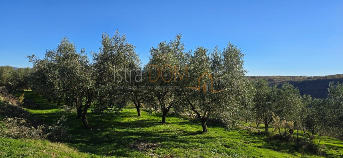 Terreno Pićan, 22,44m2