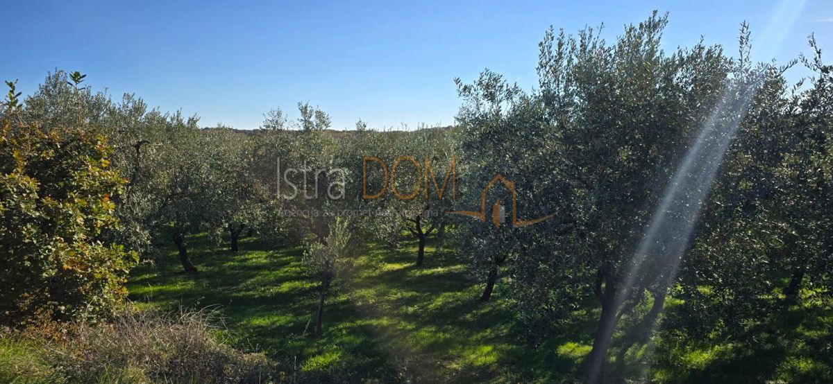 Terreno Pićan, 22,44m2