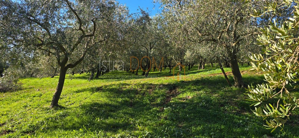 Terreno Pićan, 22,44m2