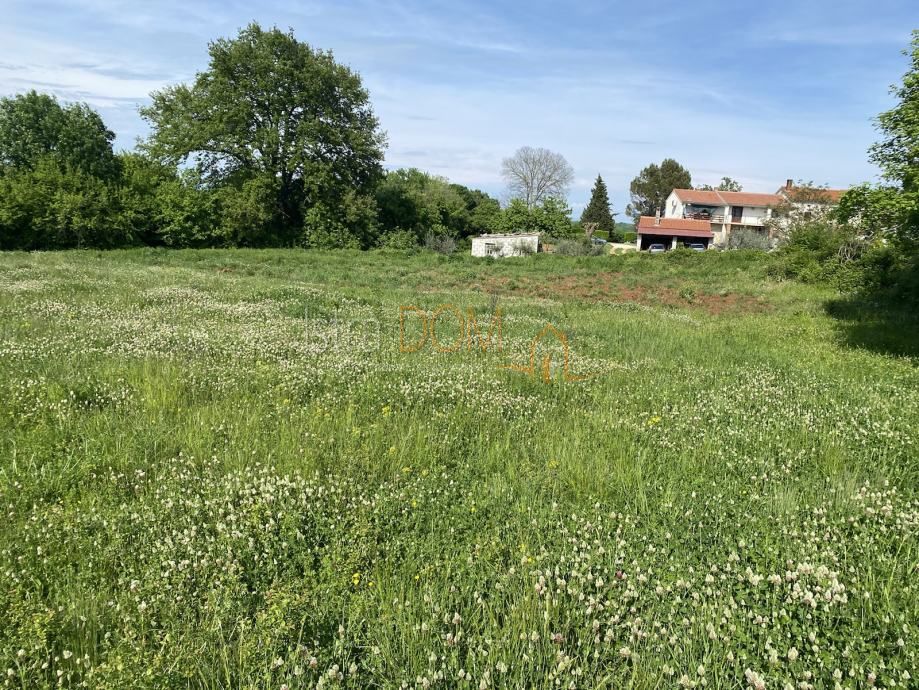 Terreno Šajini, Barban, 2.300m2