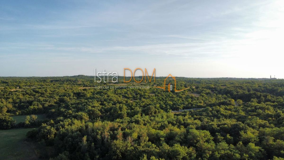 Terreno Vodnjan, 8.000m2