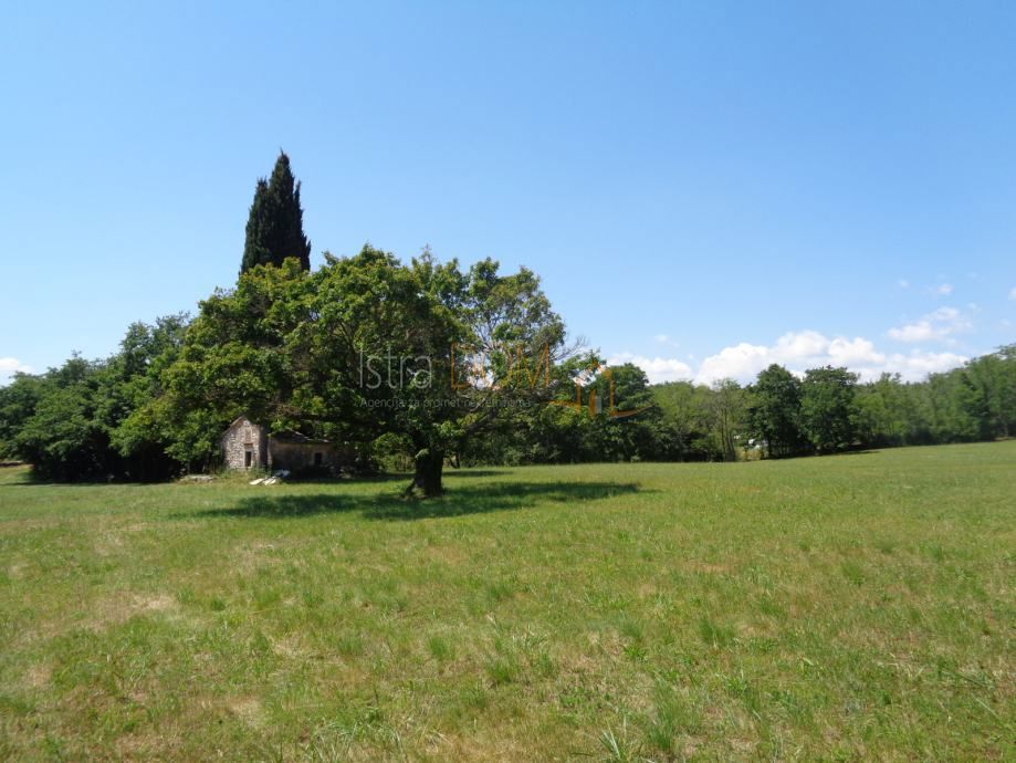 Terreno Jurići, Žminj, 20.000m2