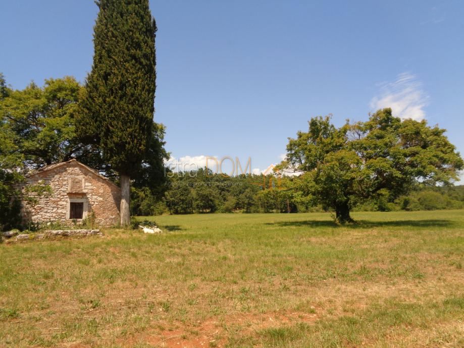 Terreno Jurići, Žminj, 20.000m2