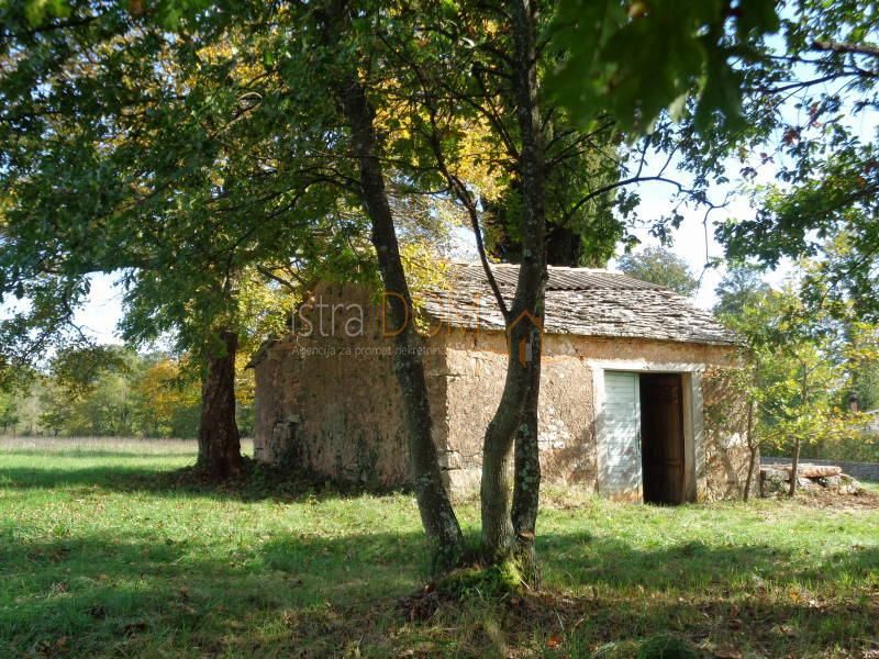 Terreno Jurići, Žminj, 20.000m2