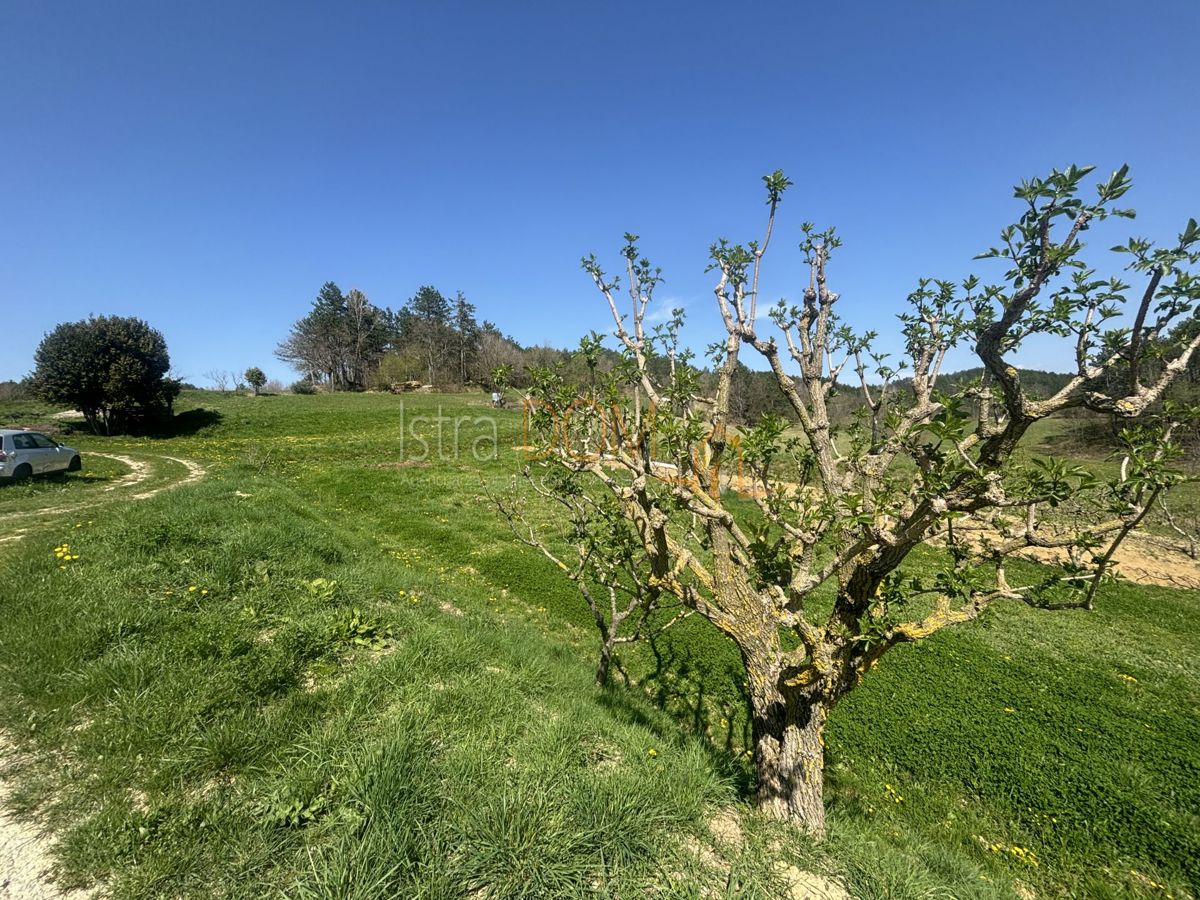 Casa Cerovlje, 230m2