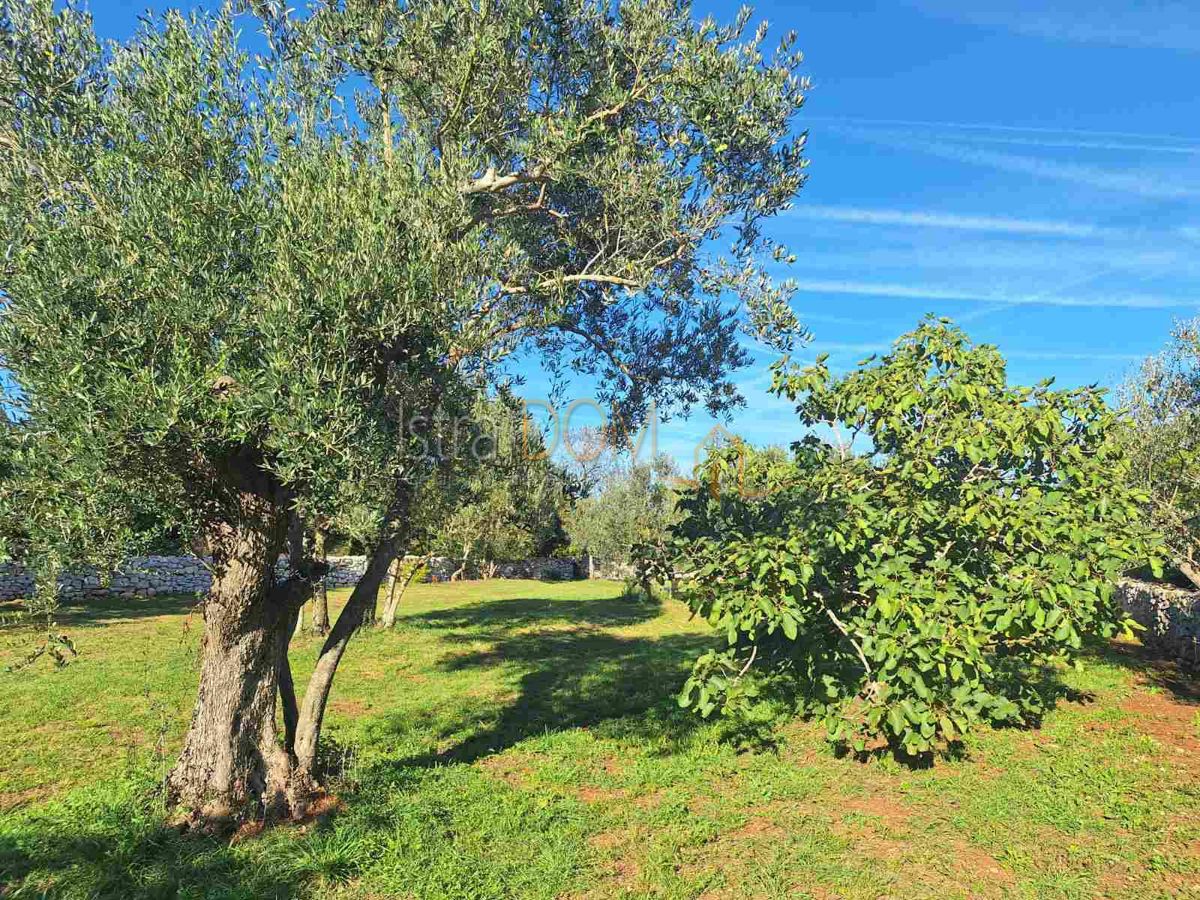 Terreno Peroj, Vodnjan, 1.144m2