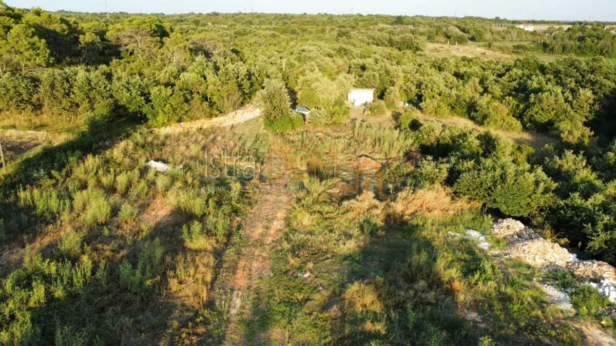 Terreno Vodnjan, 8.000m2