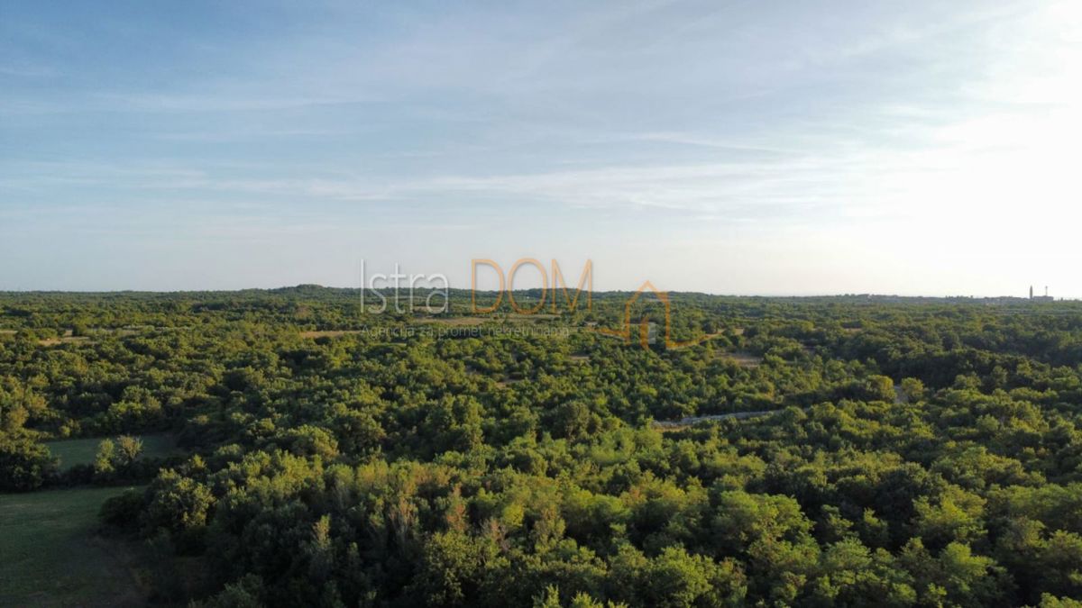 Terreno Vodnjan, 8.000m2