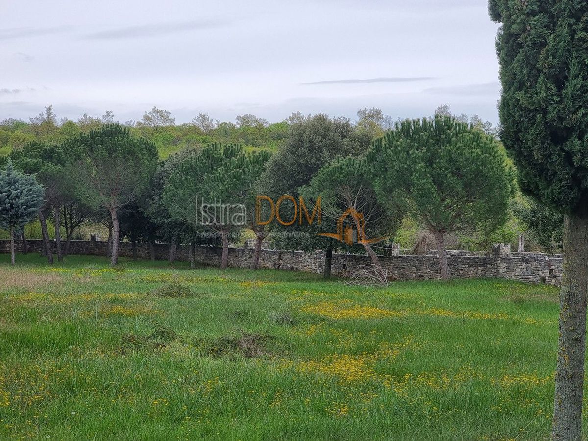 Terreno Kanfanar, 6.000m2