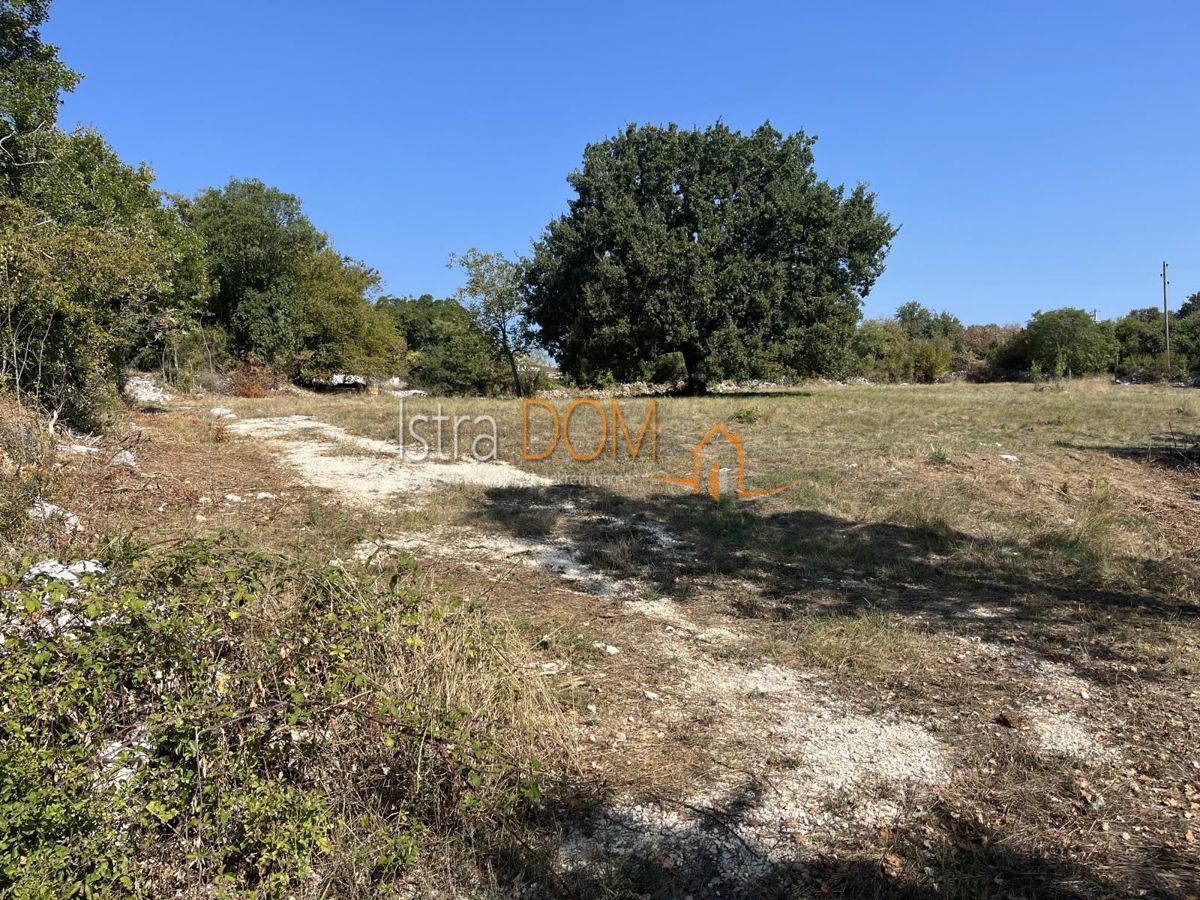 Terreno Šajini, Barban, 3.352m2