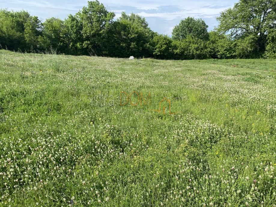 Terreno Šajini, Barban, 2.300m2