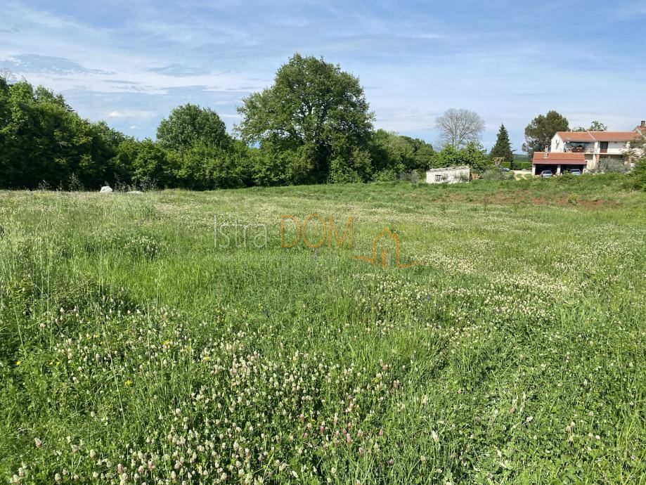Terreno Šajini, Barban, 2.300m2