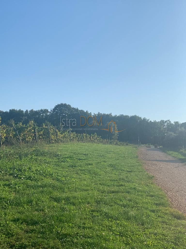 Terreno Kršikla, Pazin - Okolica, 45.398m2