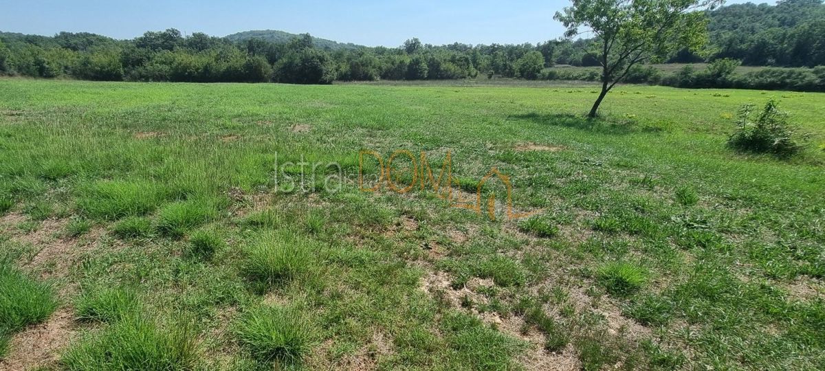 Terreno Rovinjsko Selo, Rovinj, 8.050m2