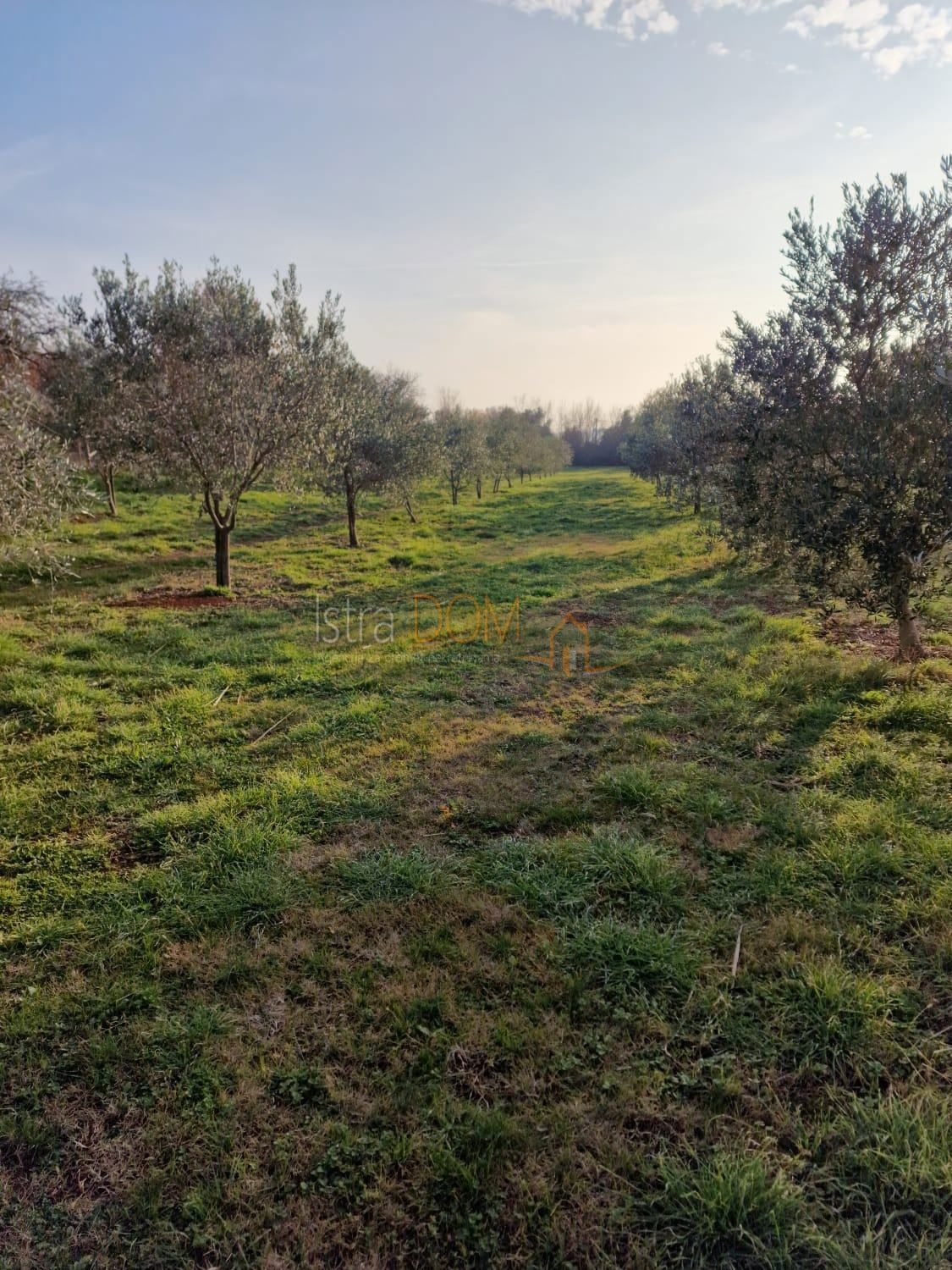 Terreno Ližnjan, 4.620m2