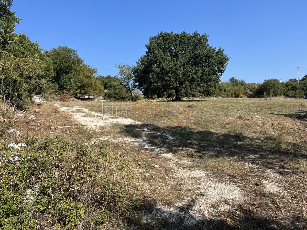 Terreno Šajini, Barban, 3.352m2