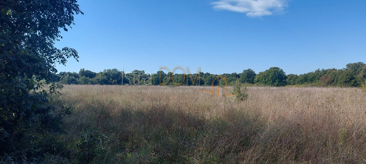 Terreno Šišan, Ližnjan, 14.437m2