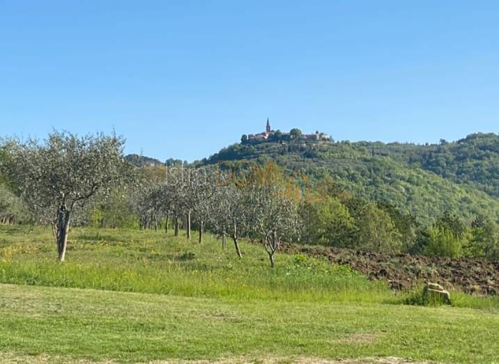 Casa Bijele Zemlje, Grožnjan, 210m2