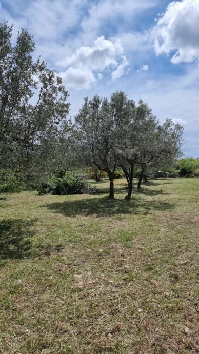 Terreno Galižana, Vodnjan, 647m2