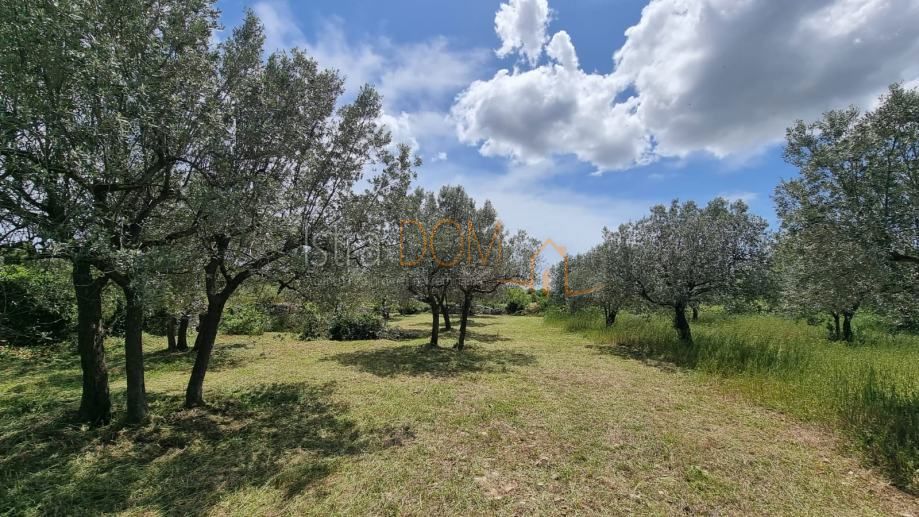 Terreno Galižana, Vodnjan, 647m2