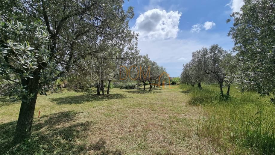 Terreno Galižana, Vodnjan, 647m2