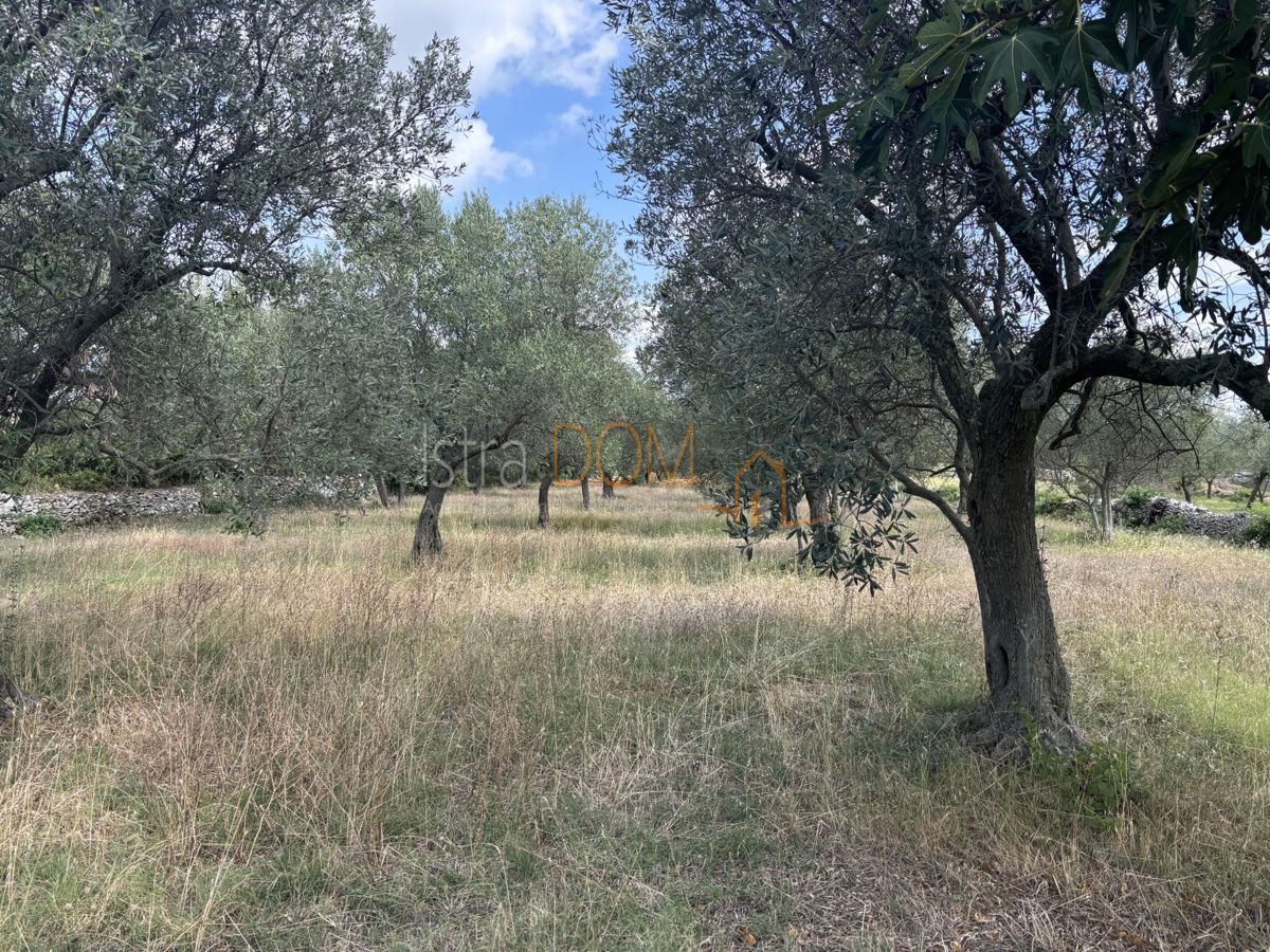 Terreno Peroj, Vodnjan, 2.000m2