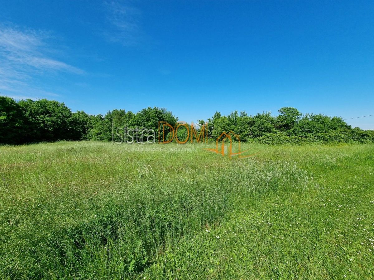 Terreno Orihi, Barban, 2.988m2