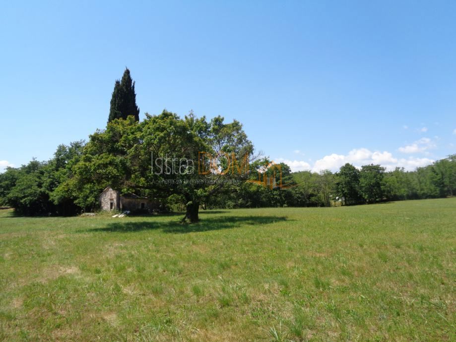 Terreno Jurići, Žminj, 20.000m2