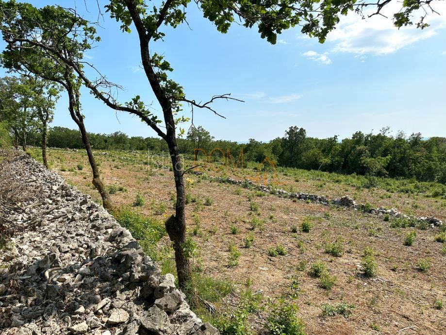 Terreno Stanišovi, Raša, 8.600m2