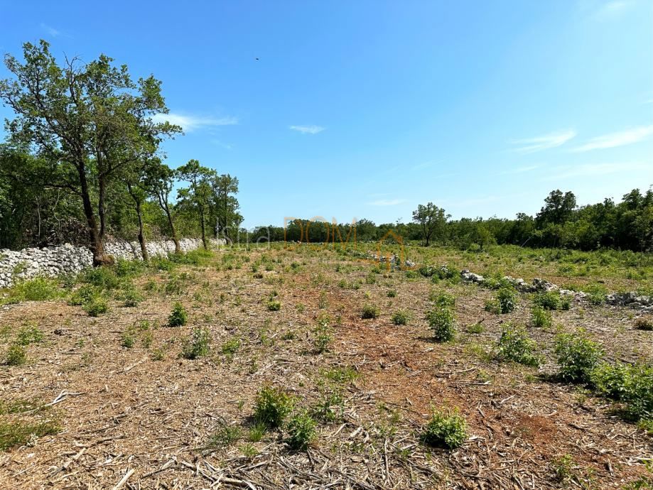 Terreno Stanišovi, Raša, 8.600m2