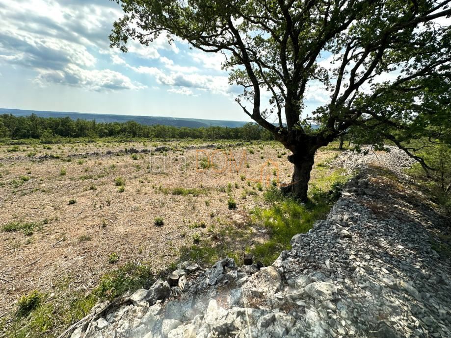 Terreno Stanišovi, Raša, 8.600m2