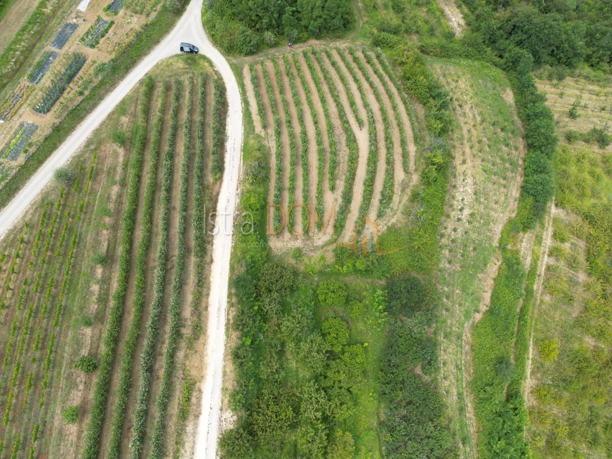 Terreno Kaldir, Motovun, 2.679m2