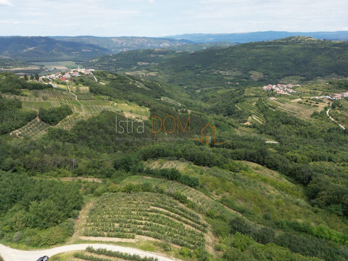 Terreno Kaldir, Motovun, 2.679m2