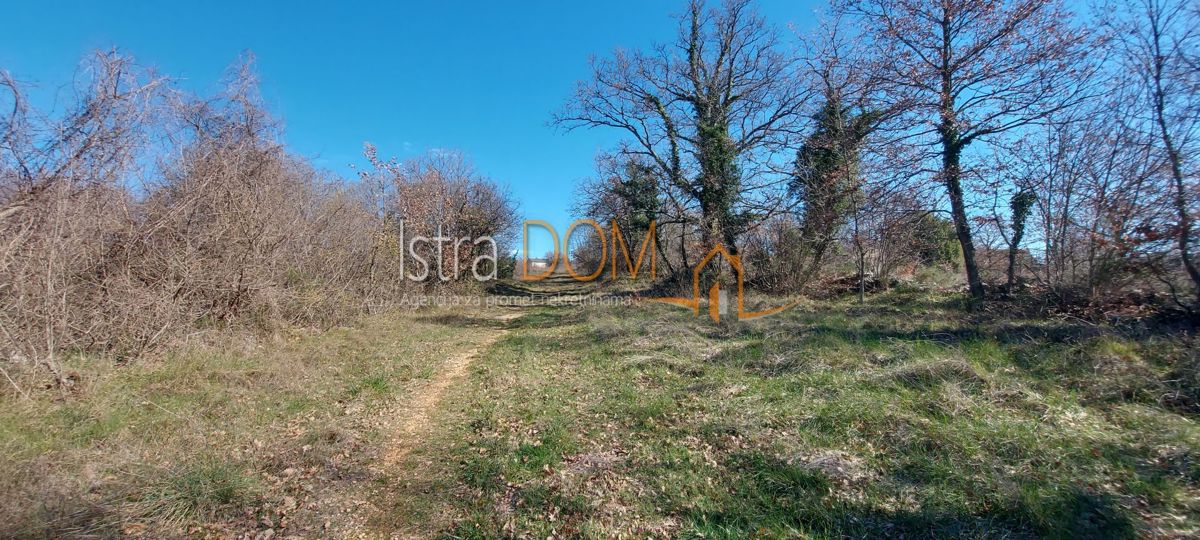 Terreno Cukrići, Svetvinčenat, 8.554m2