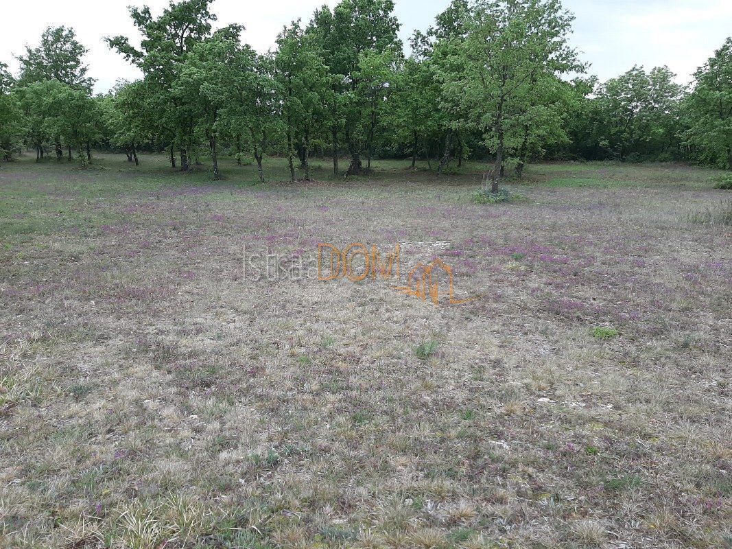 Terreno Smoljanci, Svetvinčenat, 3.996m2