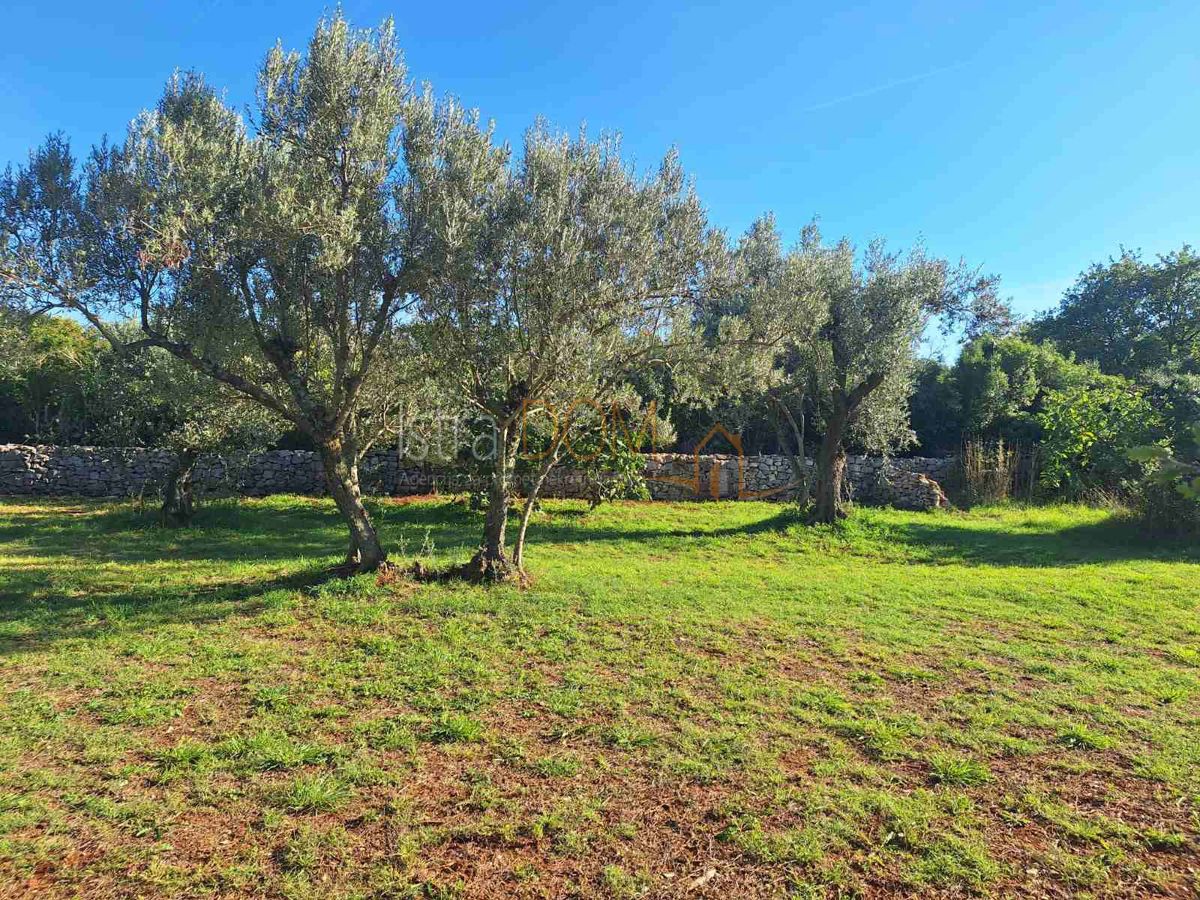 Terreno Peroj, Vodnjan, 1.144m2