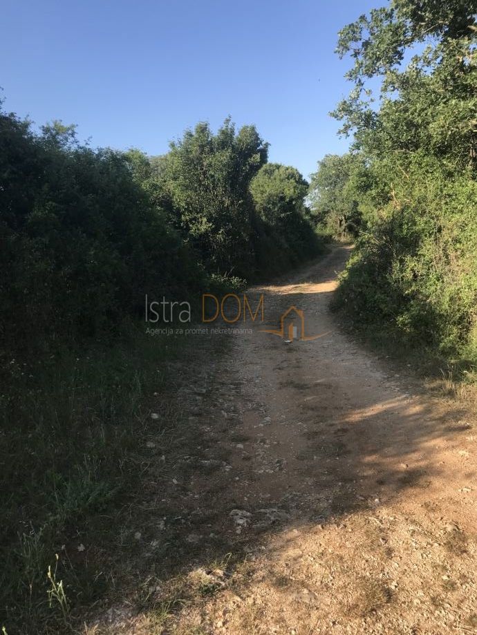 Terreno Manjadvorci, Barban, 970m2