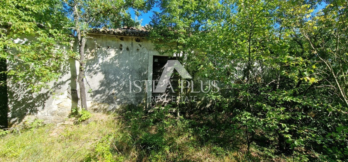 Una proprietà unica, un grande terreno edificabile e una grande casa agricola + pietra su una collina con vista su Montona