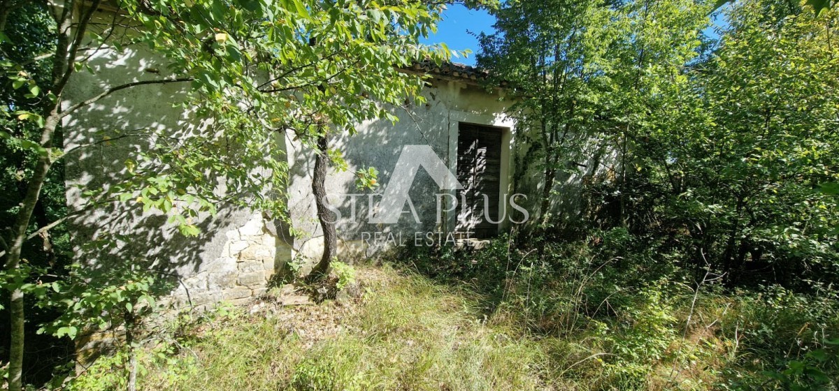 Una proprietà unica, un grande terreno edificabile e una grande casa agricola + pietra su una collina con vista su Montona