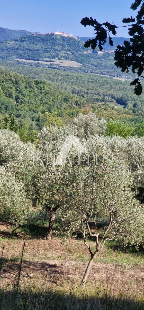 Una proprietà unica, un grande terreno edificabile e una grande casa agricola + pietra su una collina con vista su Montona