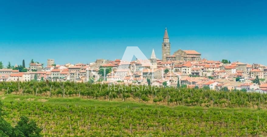 Istria, Buie, Momiano, casa indipendente in pietra in posizione molto tranquilla!