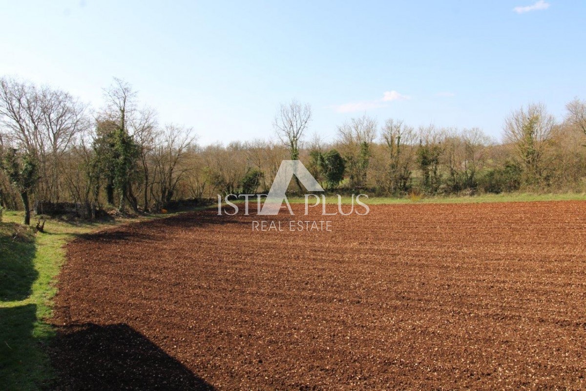 Splendida posizione vicino a Parenzo, casa unifamiliare - 160 m², terreno di 2000 m², piscina e garage