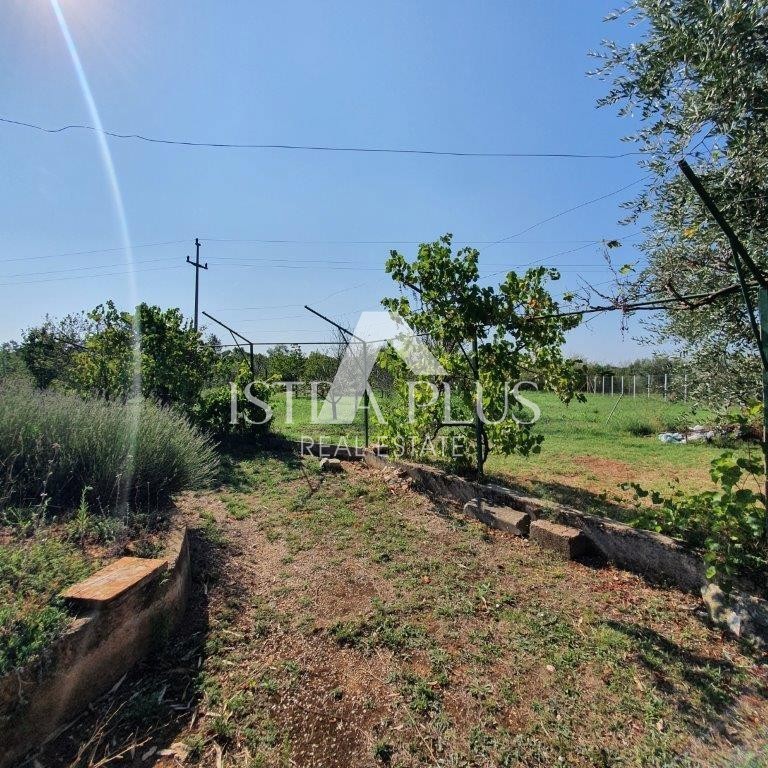 Istria, Parenzo 2 km - Terreno edificabile per il fine settimana con un bellissimo frutteto e una costruzione legalizzata!!