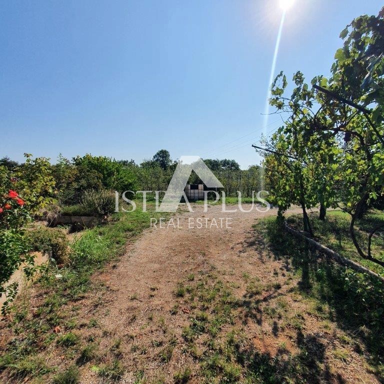 Istria, Parenzo 2 km - Terreno edificabile per il fine settimana con un bellissimo frutteto e una costruzione legalizzata!!