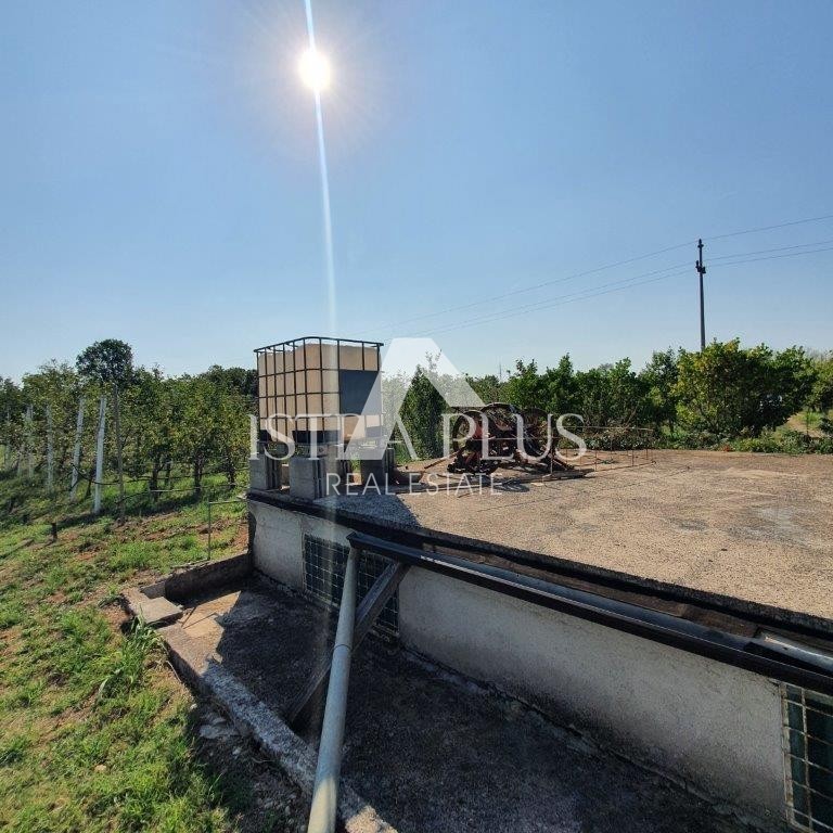 Istria, Parenzo 2 km - Terreno edificabile per il fine settimana con un bellissimo frutteto e una costruzione legalizzata!!