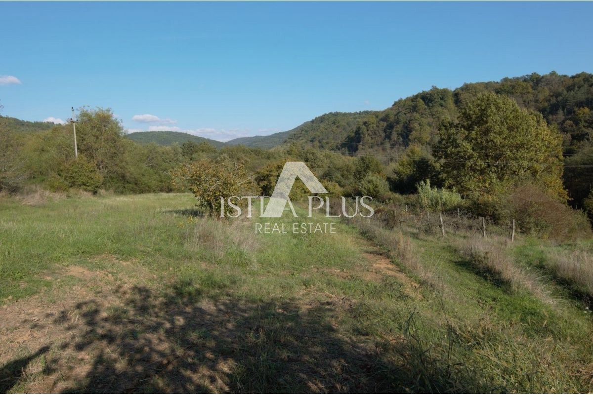 DINTORNI MOTOVUN - TERRENO EDIFICABILE CON PROGETTO CONCETTUALE IN VENDITA